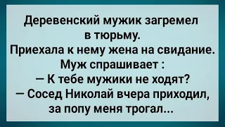 Жена Ходит к Соседу Пока Муж в Тюрьме! Сборник Свежих Анекдотов! Юмор!