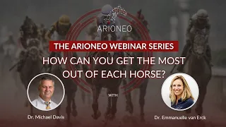 How to get the most out of each horse? Common mistakes and how to avoid  them