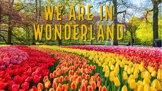 Beauty of Keukenhof Gardens: A Visual Tour of the World's Largest Flower Garden