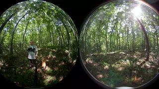 Nantahala NF Bigfoot Hunt 360 6/30/2018