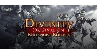 Divinity Original Sin Enhanced Edition Trailer