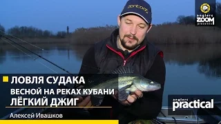 Ловля судака весной на реках Кубани. Лёгкий джиг. Алексей Ивашков. Anglers Practical