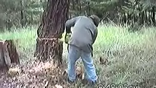 How NOT to cut down a rotten tree