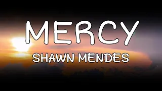 Shawn Mendes - Mercy (Lyrics/Tradução)