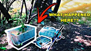 We Went Magnet Fishing & You Won't Believe What We Found!!