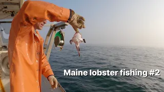 Maine lobster fishing #2
