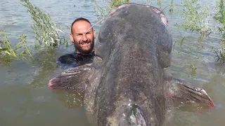 FISHERMAN REELS IN A 265 LBS MONSTER CATFISH AFTER A LONG BATTLE - 4K by YURI GRISENDI