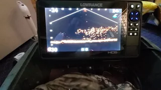 Jigging a big school of crappies, Lowrance Active Target vs Garmin Livescope