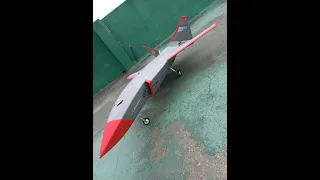 3D Printed MQ-28A Ghost Bat - Test 01