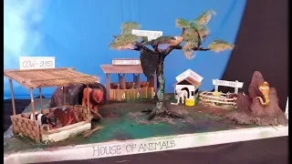 DIY School Project House of Animals | Animal shelter | Animals and their homes