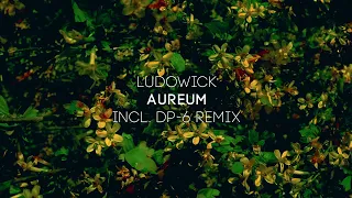 Ludowick - Aureum (DP-6 remix) [DP-6 Records]