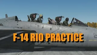Ralfi's Alley - RIO practice in the F-14 (Ft. Hellreign82)