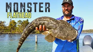 Monster Flathead-Forster Mid-North Coast