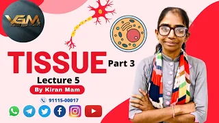 Tissue!! ਟਿਸ਼ੂ!! science for ETT 2nd Paper 5994!! #VGM #VishavGyanMantra!! Kiran Mam