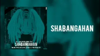 Shabangahan (new) - Taher Ghoreishi x Amoobeats | شبانگاهان - طاهر قریشی