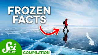 The Dangerous Beauty of Winter | SciShow Compilation