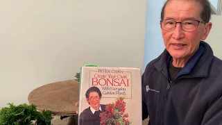 How To Make Bonsai On The Cheap