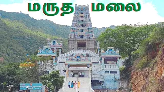 Marudhamalai Murugan | மருதமலை முருகன் கோவில் | கோவை | முன்பனி மீடியா