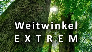 Fotografieren im Wald: WEITWINKEL EXTREM: Mit Fisheye fotografieren