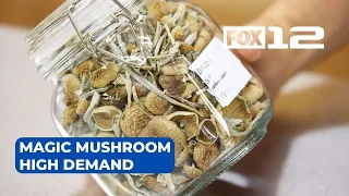 Oregon launches legal psilocybin access amid high demand and hopes for improved mental health care