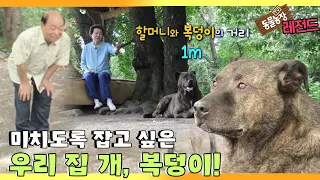 [TV 동물농장 레전드] ’5년 동안 한 번도 만져보지 못한 복덩이’ 풀버전 다시보기 I TV동물농장 (Animal Farm) | SBS Story