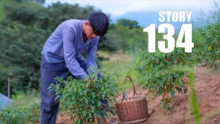 [Story 134] Picking red chilies | Cooking spicy dishes for the cold weather | Filipino Country Life