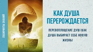 Перевоплощение душ (как душа выбирает себе новую жизнь) - Лабиринты Знаний