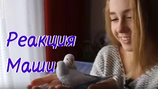 Реакция Маши на птенцов ❤