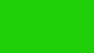 10 MINUTES OF GREEN SCREEN BACKGROUND IN HD!