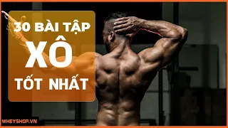 Tổng hợp : 30 Bài Tập Lưng Xô tốt nhất mọi thời đại | WHEYSHOP.VN