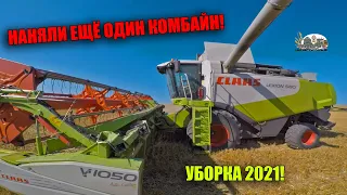 Из за неуспеваемость наняли ещё один комбайн Deutz-Fahr и отправили 2 Мтз 82 к ней!Уборка тритикале!