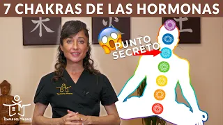 🙏 EQUILIBRA tus HORMONAS a través de los 7 CHAKRAS 🧿