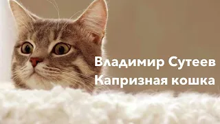 Аудиосказка для детей Владимир Сутеев Капризная кошка