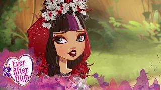 Ever After High | Somethings Wicked at Ever After High | Spring Unsprung | Compilation