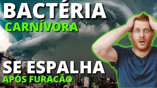 Urgente: Bactéria carnívora se espalha rapidamente após furacão