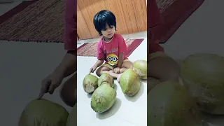 5 coconuts