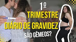 Diário de Gravidez - Primeiro Trimestre / Sintomas e uma grande surpresa - São gêmeos? 😱