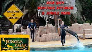 Тенерифе. Jungle Park. Шоу морских котиков. Tenerife