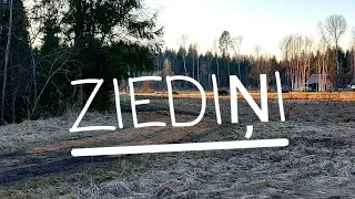 Ziediņi/ #21/ ceļš /pavasaris