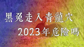 黑兔走入青龙穴，2023年真的危险吗？