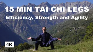 15 MIN TAI CHI WARM-UP AND QI GONG FOR LEGS - Strong and Flexible Legs in 15 min of Daily Training