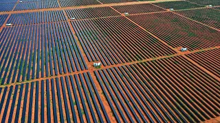 Chinese renewables ‘garbage’ being ‘dumped’ onto Australian farmers