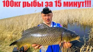 Fishing for a spider or 100kg of fish in 15 minutes Found carp and let's catch them