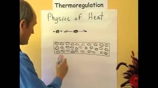 Thermoregulation 3, Physics of heat