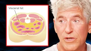 Nothing Improves Health More Than Eliminating Visceral Fat (Invisible Obesity) | Dr. Sean O’Mara