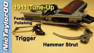 1911 Tune Up - Trigger / Hammer Strut & Feed Ramp Polishing