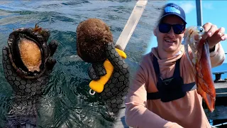 Squid Fishing Off The Pier - Diving for Abalone Catch N' Clean