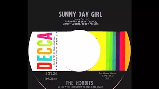 The Hobbits - Daffodil Days (The Affection Song) 1968 ((Stereo))