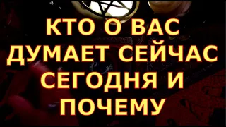 КТО О ВАС ДУМАЕТ СЕЙЧАС И ПОЧЕМУ таро любви онлайн сегодня таро терапия