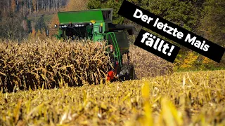 Körnermais-Ernte in Kärnten: John Deere und Fendt im Einsatz